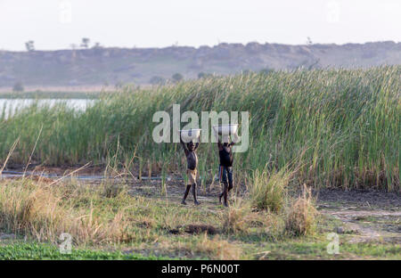 Les enfants togolais portant de l'eau pour l'irrigation en Karsome, Togo. Banque D'Images