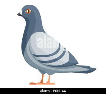 Oiseau Pigeon. Télévision cartoon character design. L'icône d'oiseaux colorés. Pigeon mignon modèle. Vector illustration isolé sur fond blanc. Illustration de Vecteur