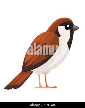 Sparrow bird. Télévision cartoon character design. L'icône d'oiseaux colorés. Cute pour sparrow sparrow monde 24. Vector illustration isolé sur fond blanc. Illustration de Vecteur