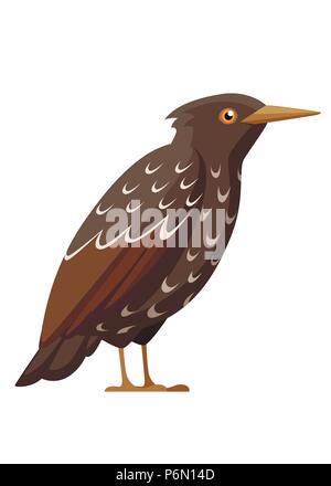 Starling oiseaux. Télévision cartoon character design. L'icône d'oiseaux colorés. Starling mignon modèle. Vector illustration isolé sur fond blanc. Illustration de Vecteur