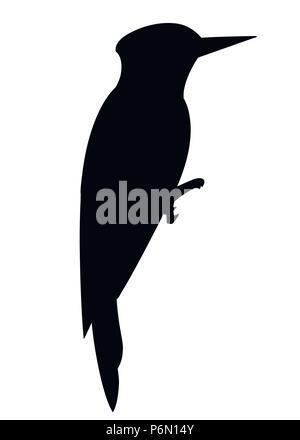 Silhouette noire. Woodpecker bird. Télévision cartoon character design. L'icône d'oiseaux noirs. Pic mignon modèle. Vector illustration isolé sur blanc bac Illustration de Vecteur