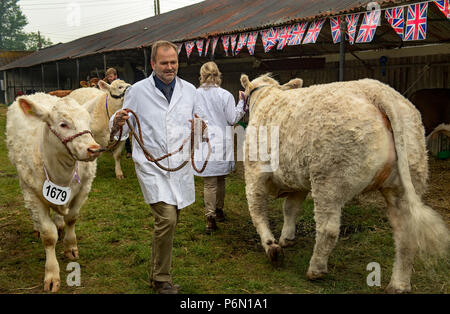 Le Shropshire County Agricultural Show a été créé à la fin du xixe siècle quand il a été lancé dans le cadre de l'entreprise de coopération - Banque D'Images