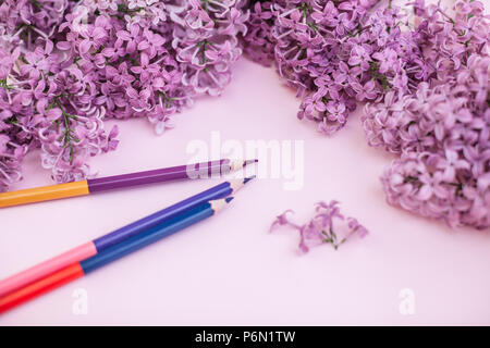 Feuilles de papier propre et blanc lilas fleurs de printemps, sur un fond couleur arrière-plan. Concept de printemps mise à plat Banque D'Images