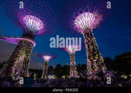 Singapour - Jun 22, 2018 : Les gens qui regardent le spectacle de musique et de lumière de Super Tree Grove structures végétales dans le jardin près de la baie dans le centre-ville de Singapour Banque D'Images