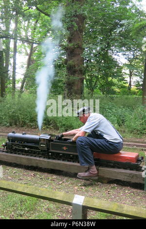 L'exécution publique mensuelle à Delapre, Northampton est une sortie pour les amateurs de trains à vapeur, les adultes et les jeunes ; 50p un trajet Banque D'Images