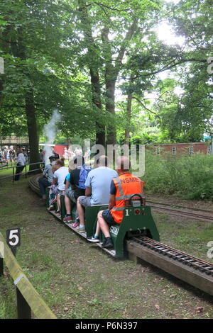 L'exécution publique mensuelle à Delapre, Northampton est une sortie pour les amateurs de trains à vapeur, les adultes et les jeunes ; 50p un trajet Banque D'Images