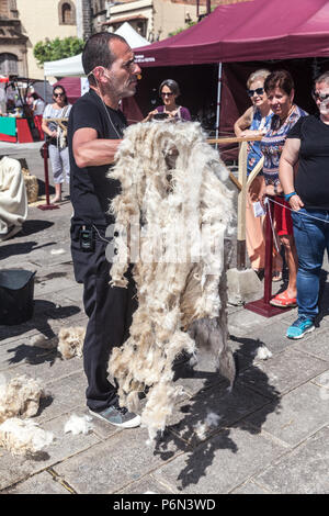 Tonte de moutons à La Orotava Tenerife island (village) Banque D'Images