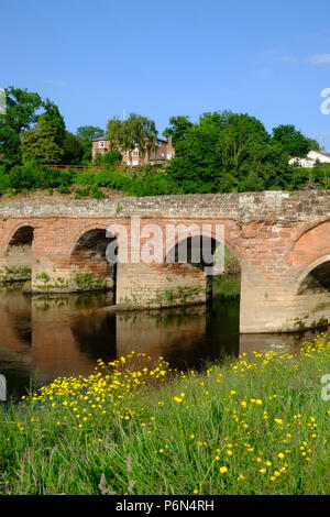 Holt hespérie pont, un pont médiéval sur la rivière Dee, à la frontière entre l'Angleterre et au Pays de Galles Banque D'Images