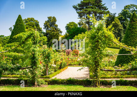 Le magnifique jardin de roses dans le parc de Bagatelle à Paris, France Banque D'Images