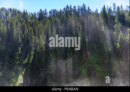 Fin brouillard sur la rivière Yellowstone Banque D'Images
