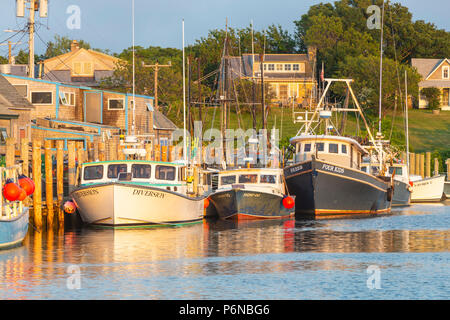 Bateaux de pêche commerciale à quai dans le bassin de Menemsha, dans le village de pêcheurs de Menemsha à Chilmark, Massachusetts sur Martha's Vineyard. Banque D'Images