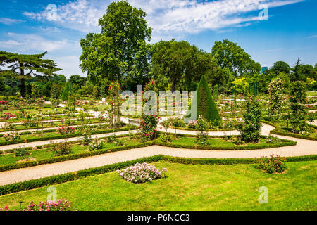 Le magnifique jardin de roses dans le parc de Bagatelle à Paris, France Banque D'Images