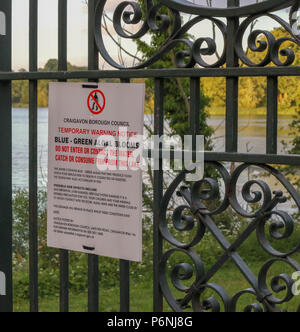 Avis d'avertissement temporaire sur l'entrée du parc sur la prolifération des algues bleues. Banque D'Images