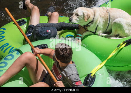 Tube de la famille avec le meilleur ami de l'homme sur la rivière Chattahoochee à Helen, la Géorgie. (USA) Banque D'Images