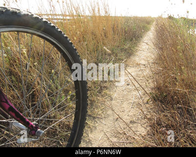 Randonnée à vélo en journée ensoleillée dans la lagune de Venise Banque D'Images