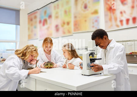 Les enfants de la classe de biologie travaillent avec des animaux et d'un microscope dans le laboratoire Banque D'Images