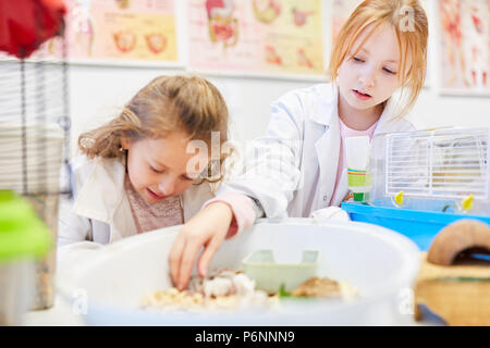 Soins pour enfants souris peu à l'école primaire enseigner la biologie Banque D'Images