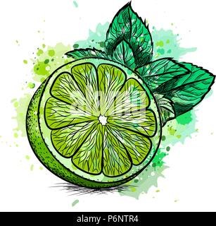 Avec les feuilles de lime et de menthe Illustration de Vecteur