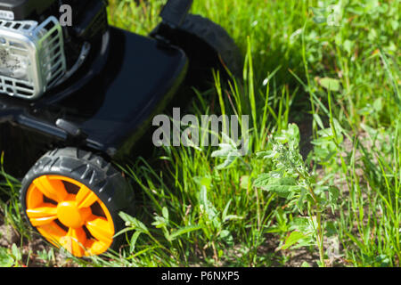 Tondeuse ou coupe-herbe se dresse sur pelouse verte, photo gros plan avec selective focus on grass Banque D'Images