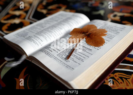 Bible ouverte avec un congé. La Suisse. Banque D'Images