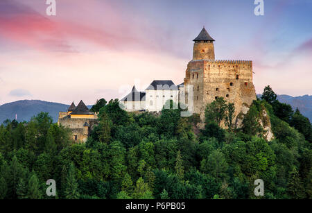 Stara Lubovna château en Slovaquie, l'Europe vue Banque D'Images