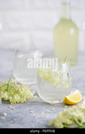 Un verre de limonade de sureau fait maison avec elderflowers fraîchement cueillis. Les fleurs sont comestibles et peuvent être utilisés pour ajouter de la saveur et l'arôme à la fois dri Banque D'Images