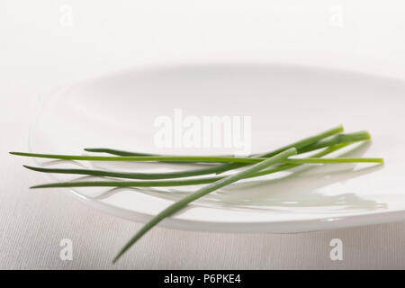 Close up de certains paysages de la politique vert herbe ciboulette, sur une plaque blanche sur un fond blanc. Banque D'Images