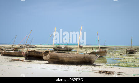 Zanzibar boutre de pêche Bateaux de pêche , voile traditionnelle brin à marée basse sur la côte de Zanzibar Banque D'Images