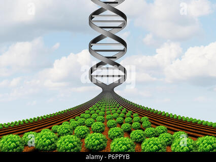 L'agriculture sans OGM et la génétique agricole et les cultures génétiquement modifiées ou l'augmentation de la biotechnologie alimentaire de la science et de la technologie de rendement agricole. Banque D'Images