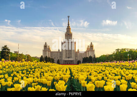 Fleurs printemps tulipe Moscou city skyline intermittentes à l'Université d'État Lomonossov de Moscou, Moscou, Russie Banque D'Images