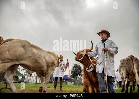 Le Shropshire County Agricultural Show a été créé à la fin du xixe siècle quand il a été lancé dans le cadre de l'entreprise de coopération - Banque D'Images