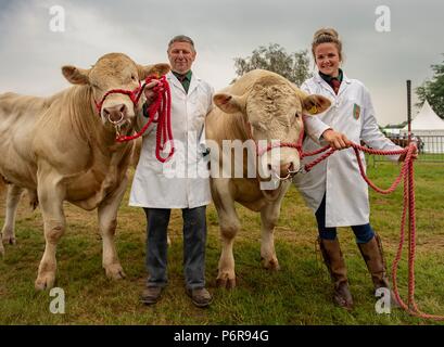 Le Shropshire County Agricultural Show a été créé à la fin du xixe siècle quand il a été lancé dans le cadre de l'entreprise de coopération - Banque D'Images