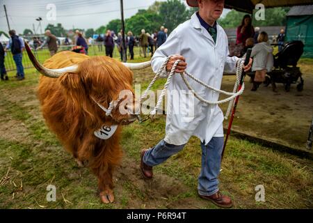 Le Shropshire County Agricultural Show a été créé à la fin du xixe siècle quand il a été lancé dans le cadre de l'entreprise de coopération - Banque D'Images