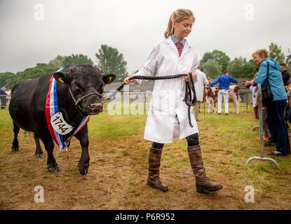 Le Shropshire County Agricultural Show a été créé à la fin du xixe siècle quand il a été lancé dans le cadre de l'entreprise de coopération - Banque D'Images