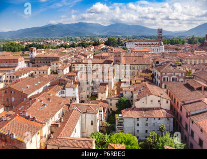 Vue aérienne de la vieille ville de Lucques avec toit en terre cuite de la Méditerranée sur les bâtiments des rues étroites, Toscane, Italie Banque D'Images