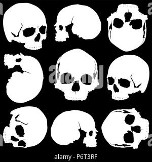 Transparente du crâne Illustration de Vecteur
