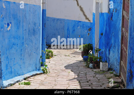 En vue de la rue casbah des oudaias à Rabat, au Maroc, avec des façades peintes en bleu et blanc et pavés Banque D'Images