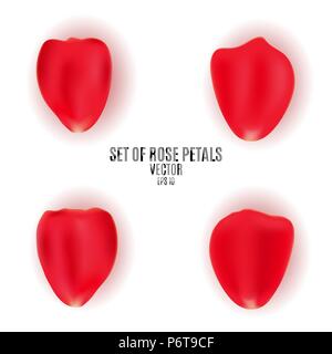 Ensemble de pétales d'une rose rouge. Objets grecs pour un projet romantique. Mariage, Saint Valentin, 8 mars. Des pétales de rose isolé sur fond blanc. Vector Illustration de Vecteur