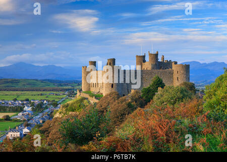 Château de Harlech Gwynedd au Pays de Galles Banque D'Images