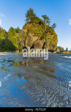 Point de formations de roche d'Arches avec une piscine de marée le long Shi Shi plage à marée basse le long de l'océan Pacifique à l'Olympic National Park, Washington State Banque D'Images