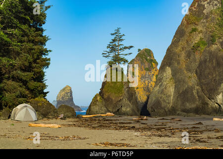 Point de formations de roche d'Arches le long Shi Shi plage à marée basse le long de l'océan Pacifique à l'Olympic National Park, Washington State, USA Banque D'Images