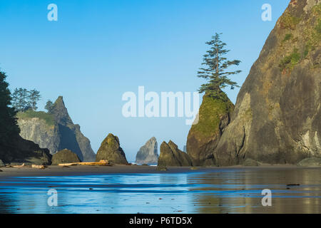 Point de formations de roche d'Arches le long Shi Shi plage à marée basse le long de l'océan Pacifique à l'Olympic National Park, Washington State, USA Banque D'Images