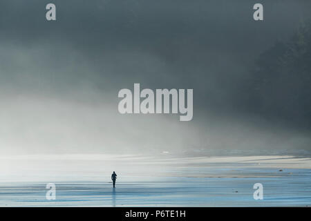 Homme marchant dans la mer le matin, le brouillard de pulvérisation sur Shi Shi Beach le long de l'océan Pacifique à l'Olympic National Park, Washington State, USA Banque D'Images