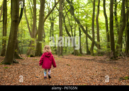 Vue arrière de petite fille qui marche dans les bois Banque D'Images