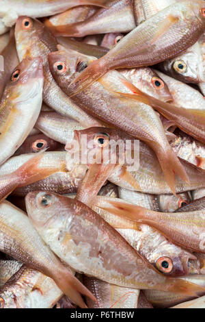 Poisson frais de la mer dans un marché Banque D'Images