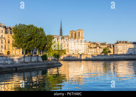 La cathédrale Notre-Dame et l'Ile de la Cité, Paris, France Banque D'Images