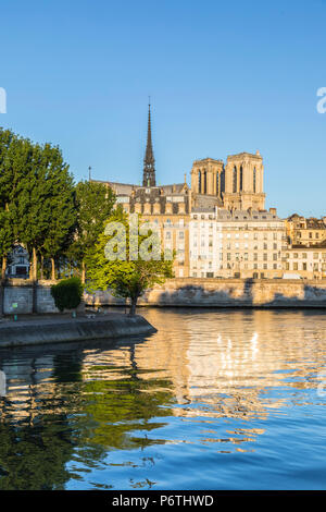 La cathédrale Notre-Dame et l'Ile de la Cité, Paris, France Banque D'Images