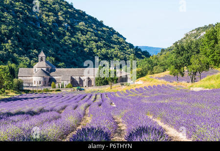 Abbaye de Sénanque, Provence, France Banque D'Images