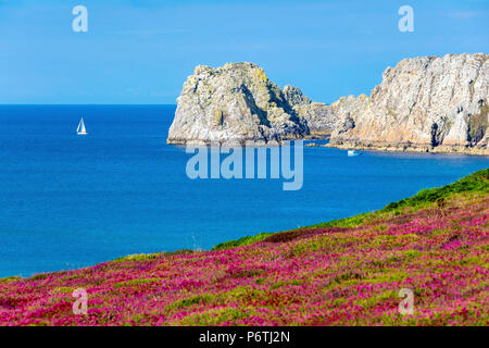 France, Bretagne, Finistère (Bretagne) département, Camaret-sur-Mer. Pointe du Pen-Hir sur la Presqu'ile de Crozon, Parc naturel régional d'Armorique. Banque D'Images