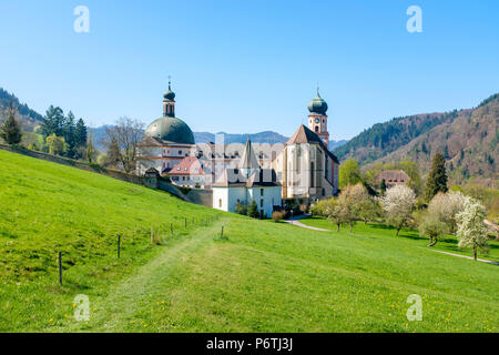 Monastère bénédictin de Saint Trudpert (Kloster Sankt Trudpert) au début du printemps. MÃ¼Nstertal, Breisgau-Hochschwarzwald, Baden-WÃ¼rttemberg, Allemagne. Banque D'Images